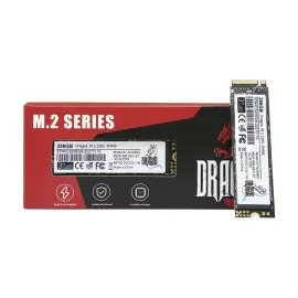 Dragos 256GB M.2 NVMe SSD (1125MB/s Okuma / 1141MB/s Yazma Hızı)